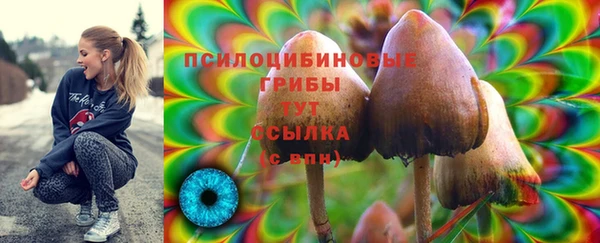 ALPHA PVP Алексеевка