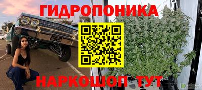 кокс Заводоуковск