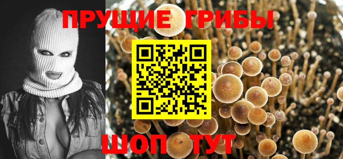 Галлюциногенные грибы ЛСД  Вход с VPN  Псилоцибиновые грибы Cubensis  Краснокамск 