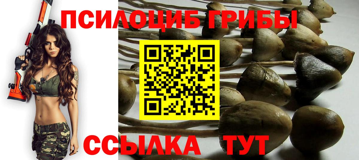 Галлюциногенные грибы мицелий Краснокамск