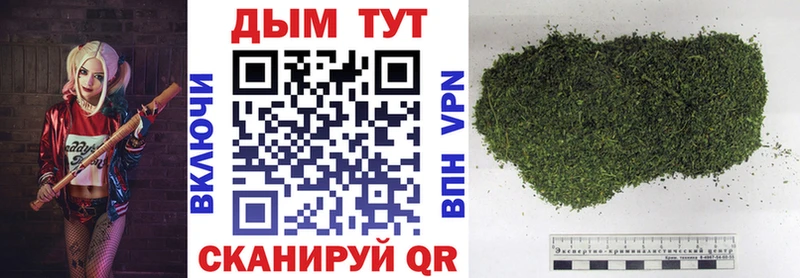 Конопля OG Kush  мега   Краснокамск 